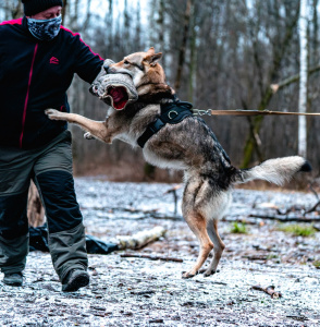 Infinity Pride Dionis The Almighty